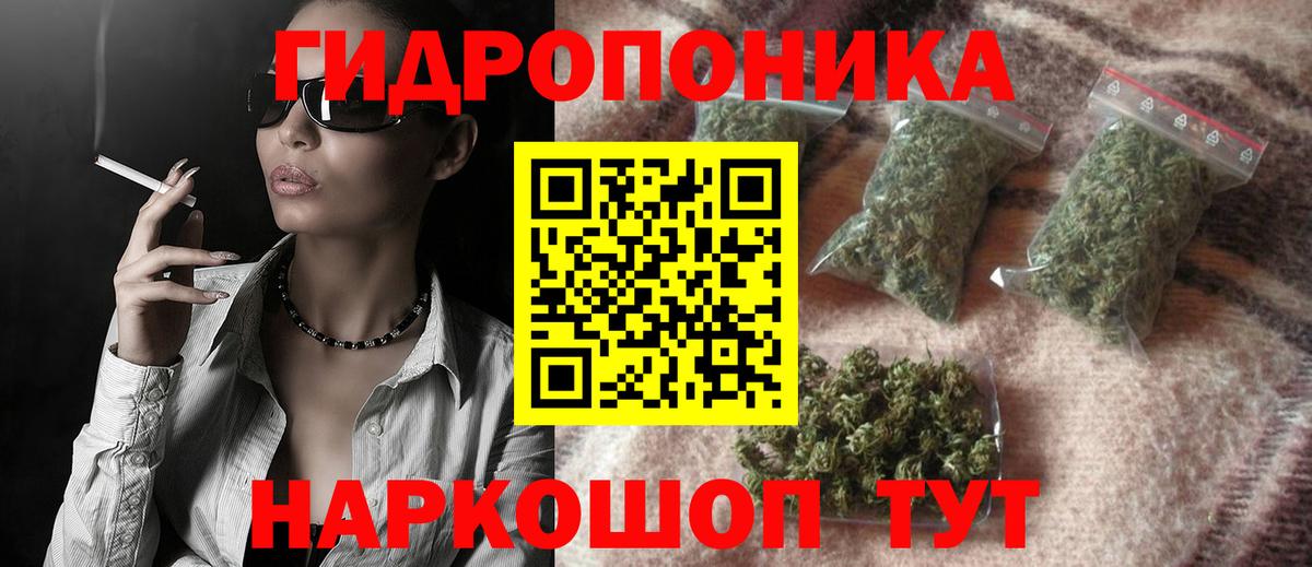 Каннабис индика Муром